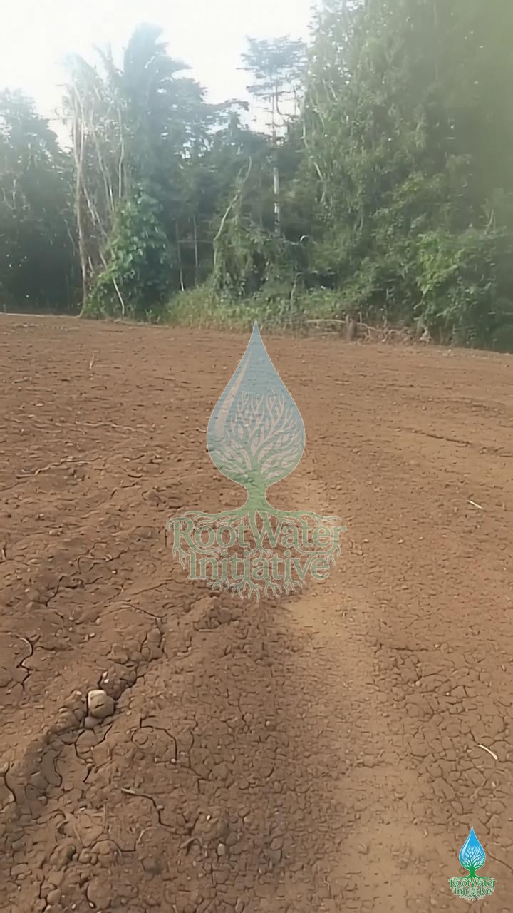 Seretomonie Avant