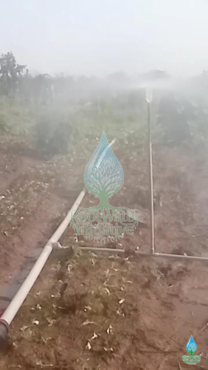 Dagodji Après